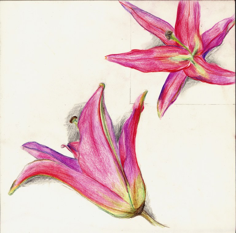 Glück, Eva, Wachstum Orchidee 2-2, Q11 Kunst Additum, 2015