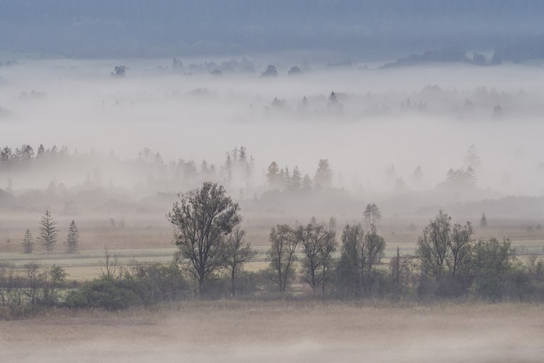 Bäck, Nele, Landschaft. Staffelung im Nebel, Fotografie, Portfolio, Jg11, 2022