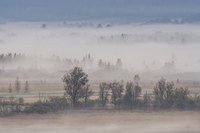 Bäck, Nele, Landschaft. Staffelung im Nebel, Fotografie, Portfolio, Jg11, 2022