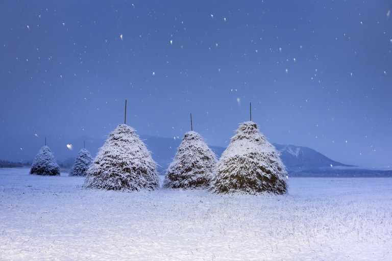 Bäck, Nele, Strohballen im Schnee mit Langzeitbelichtung und Blitz, Fotografie, Portfolio, Jg11, 2022