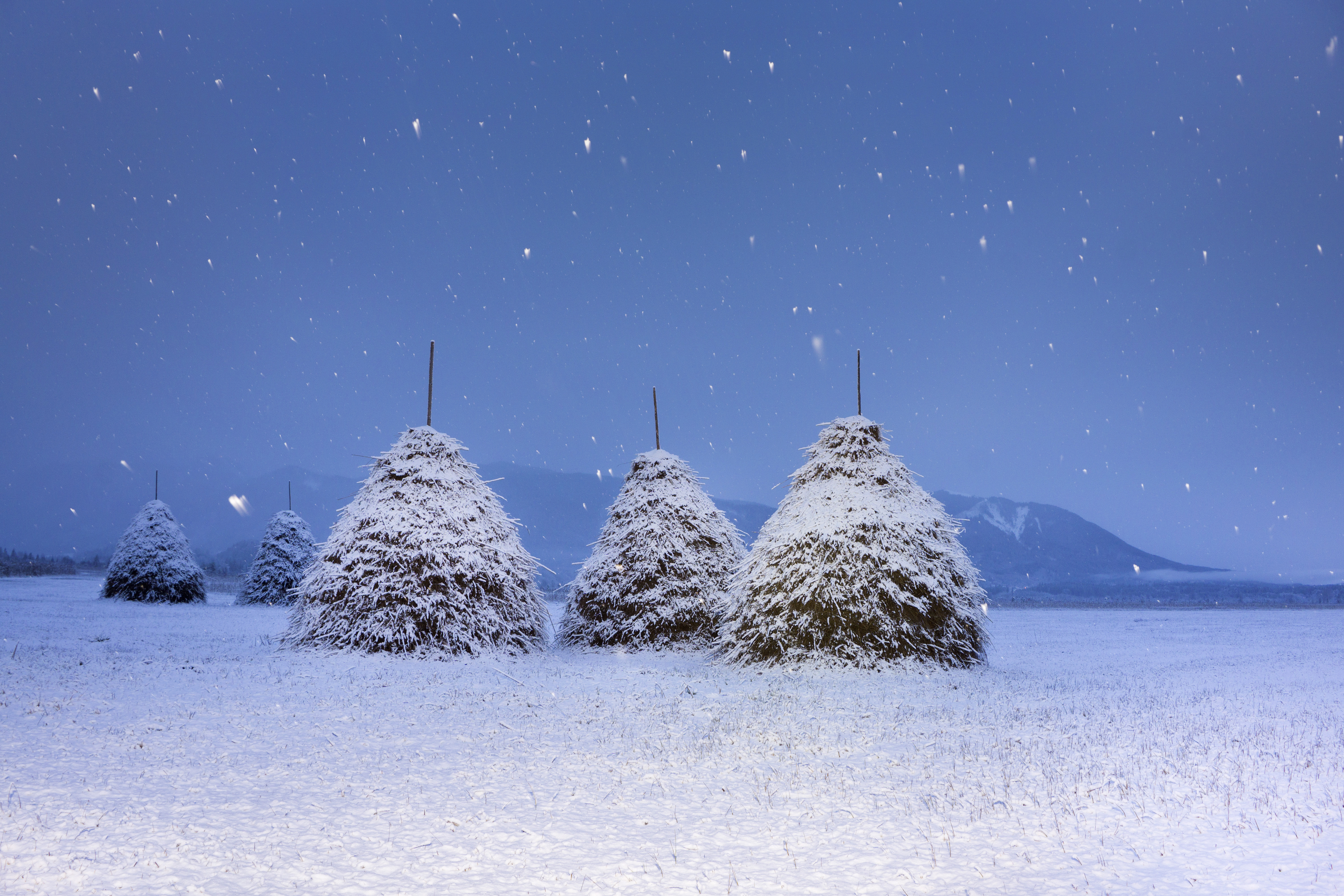 Bäck, Nele, Strohballen im Schnee mit Langzeitbelichtung und Blitz, Fotografie, Portfolio, Jg11, 2022